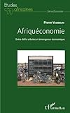 Afriquéconomie: Entre défis urbains et émergence économique (French Edition) by Pierre Vaudelin