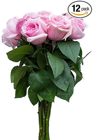 baby pink rose bouquet