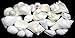 Hinterland Trading 1 Pound White Sea Shells