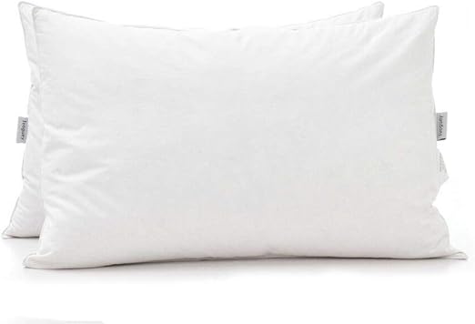 Amazon Com Ivoguey Duck Feather Pillows For Sleeping Premium 100