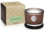 CHERIMOYA 5oz Aquiesse Portfolio Scented Soy Candle