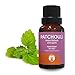 GuruNanda Patchouli Essential Oil - Aromatherapy - Diffuser - Massage - DIY - GCMS Tested & Verified 100% Pure Essential Oils - Undiluted - Therapeutic Grade - 15 ml