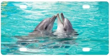 Dolphins License Plate-12" X 6" inches