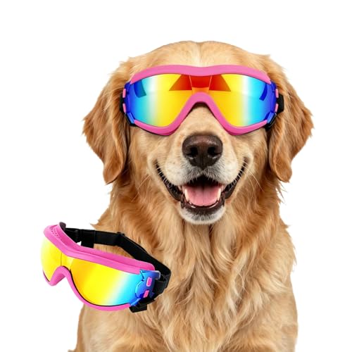 Enjoying Dog Sunglasses