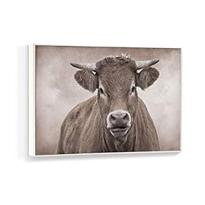 Framed Canvas Wall Art for Living Room, Bedroom Black and White Animal Canvas Prints for Home Decoration Ready to Hanging - 16x24 inches
