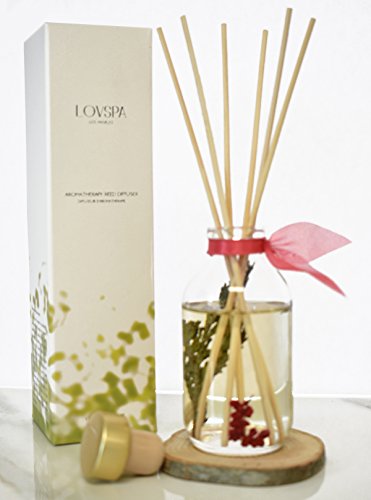 LOVSPA Joy Winterberry Spruce Luxury Reed Diffuser Oil Set | Wood Coaster Included | Cedar, Balsam, Berries and Spice Scented Oil | Rustic Winter Home Decor ~ Liquid Potpourri