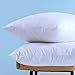 Set of 2, Down and Feather Throw Pillow Insert, 100% Cotton, 20x20 Inch