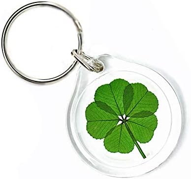 Amazon.com: Clovers Online Genuine Preserved 5 Leaf Clover Good