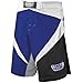 Combat Sports Fight MMA Boardshorts
