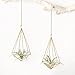 Mkono Hanging Air Plant Holder Modern Geometric Planter with Chain Tillandisia Container Himmeli Wall Decor, Gold, 2 Packs