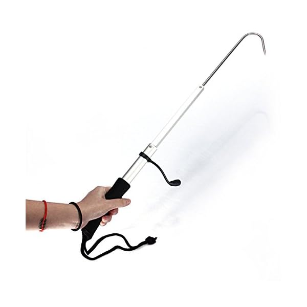 Fishing-Hook-LOPEZ-Telescope-Retractable-27-60Cm-Fishing-Tool-Gaff-Hook-Spear-for-Saltwater-Offshore-Ice-Fishing-with-Soft-EVA-Handle