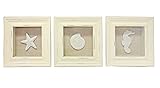 3 Sealife Shadow Boxes Seahorse Starfish Shell Seashell (Kitchen)