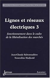 Lignes et réseaux électriques