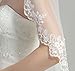 Wedding Bridal Veil with Comb 1 Tier Lace Applique Edge Fingertip Length 41