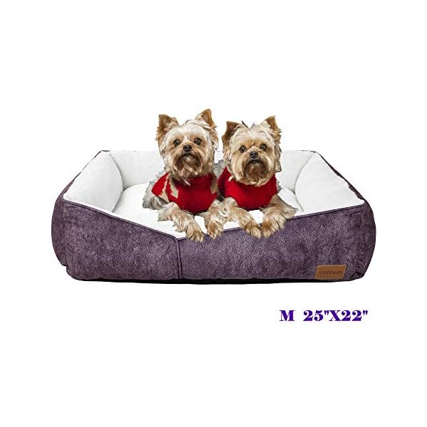 Comfortable Square Pet Bed Simple Design