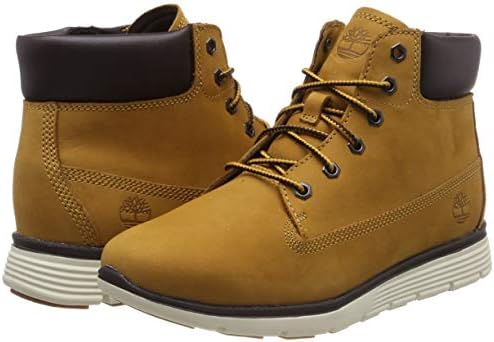 timberland a19jh