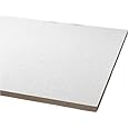 ARMSTRONG ACOUSTICAL CEILING TILE 868B CLEAN ROOM VL UNPERFORATED HUMIGUARD PLUS, 24X24X5/8 IN., 12 PER CASE