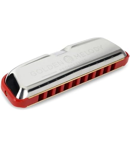 Amazon.com: Hohner Golden Melody Progressive Harmonica, Key of G