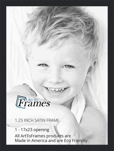 Photo Albums, Frames & Accessories - ArtToFrames 17x23 inch Satin Black Picture Frame, 2WOMFRBW26079-17x23