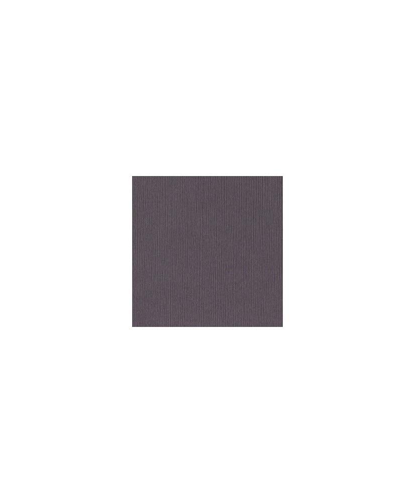 Artemio Bazzill Basics Paper 25 ScrapBooking Sheets Grasscloth Dusk, Brown