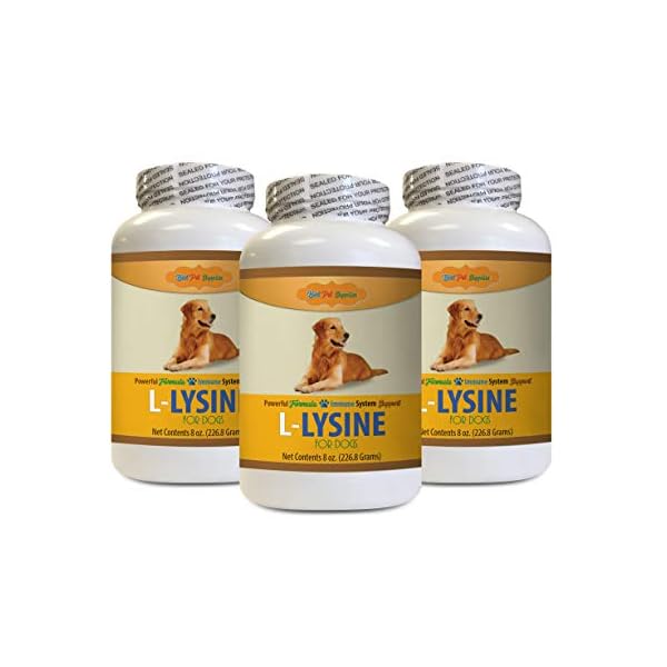 BEST PET SUPPLIES LLC Dog Amino Acid Supplements L LYSINE for Dogs
