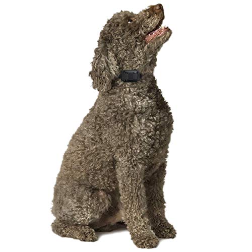 Educator CPAD011 Dog Training Collar Receiver Comfort Pad, Improves