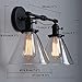 Phansthy 2-Light Industrial Wall Light Black Wall Sconce Light Fixture with Dual 7.3 Inches Cone Clear Glass Canopy(Black)