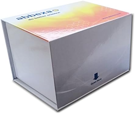 Human Immunoglobulin G3 ELISA Kit