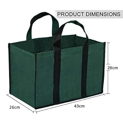 DAHSHA Pack of 2 Canvas Shopping Bag/Grocery Bag/Vegetable Bag (43x26x28cm, Green)