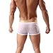 Pack of 2 Mens Boxer Briefs Shorts Bulge Pouch Soft Underpants Mens Trunks Mesh Underwear for Male (white/black, M)