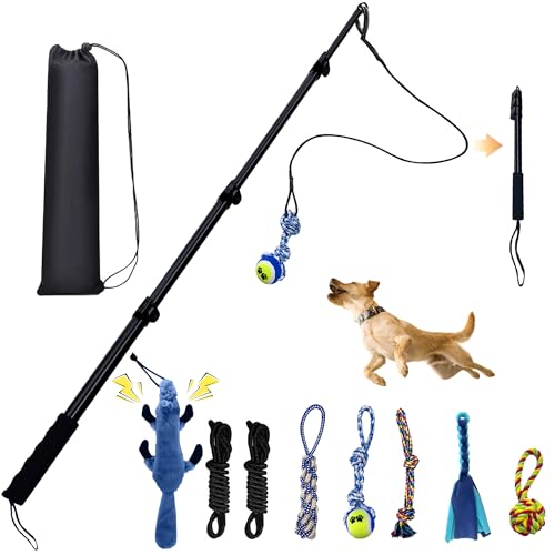 GRETMIX Retractable Flirt Pole