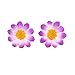 Topixdeals 100x Gerbera Daisy Flowers Heads for DIY Wedding Party (Purple with White)