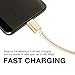 AreaJD 2Pack 6ft Braided Micro USB 2.0 Type C Cable with Reversible Connector for New Macbook 12'', Nexus 6P, 5X, OnePlus 2, Lumia 950, 950XL, ChromeBook Pixel, Nokia N1 (Golden and Pink)