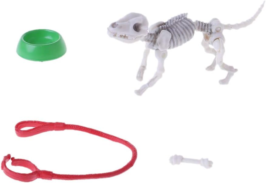 Fogun Movable Mr. Bones Accessories， Skeleton Human Model Skull Figure Toy Halloween
