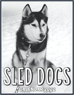 sled dogs amazon