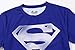 Red Plume Men's Compression Sports Shirt,Leisure Movie Hero Fitness T-Shirt (M, Silver Logo)
