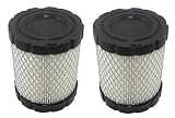 Package of 2, Air Filters For Briggs & Stratton 798897 or 794935