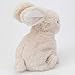 Bits and Pieces - Hoppy Bunny Plush Toy