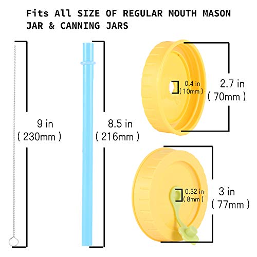 Regular Mouth Mason Jar Lids with Straw Hole/Plastic Straws/Cleaning