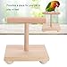HEEPDD Bird Perch, Parrot Toy T Shaped Wooden Perch Cage Tabletop Training Stand Play Toys for Parrots Budgies Parakeet Cockatiel Cockatoo Conure Lovebirdthumb 4