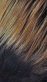 Model Model Equal Synthetic Fullcap Drawstring - Shandy-OM701