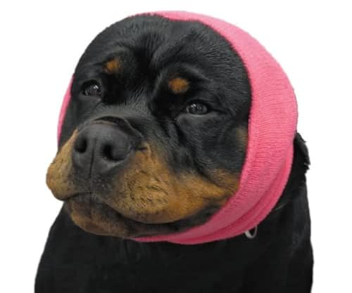 Hooded Sweatshirt Big Dog Tools Hoodie The Original Happy