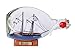 Hampton Nautical Bluenose Sailboat in A Glass Bottle, 7