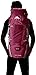 High Sierra Explorer Top Load Internal Frame Hiking Pack, Boysenberry/Boysenberry/Ash, 50L / 29-Inch