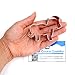 My Little Pony Cookie Cutter- Stainless Steel