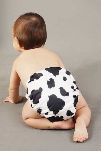 moo moo kow diaper