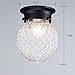 Truelite Industrial Antique Style Plantation Collection Flush Mount Ceiling Light Prismatic Glass Globe Light Fixtures