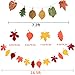 Whaline Fall Thanksgiving Tissue Pom Poms Fall Party Decorations Orange Hanging Paper Fans Flower Pompoms Paper Lantern Maple Leaves Bunting Garland Banner for Birthday Wedding Party Decor, 16Pcs