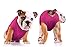 SurgiSnuggly Dog Cone Bodysuit Onesie for Dogs After Surgery, Easier Than E Collars for Dogs, and It's Made with Breathable Vet Approved Fabric to Protect Your Pet's Wounds and Bandages, Pink ML EC