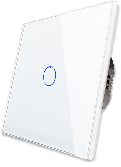 CNBINGO 2-Way Touch Light Switch Glass Panel 1-Gang 240V 800W